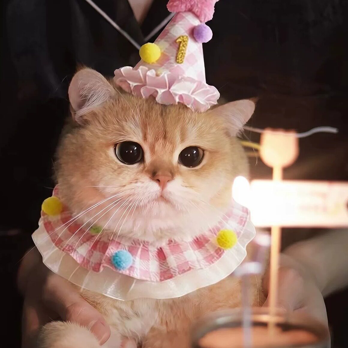 猫咪生日拍照围兜口水巾套装