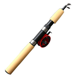 冰钓竿冬钓竿路亚竿虾竿鱼竿便携伸缩迷你小海竿超短冬钓竿钓鱼竿