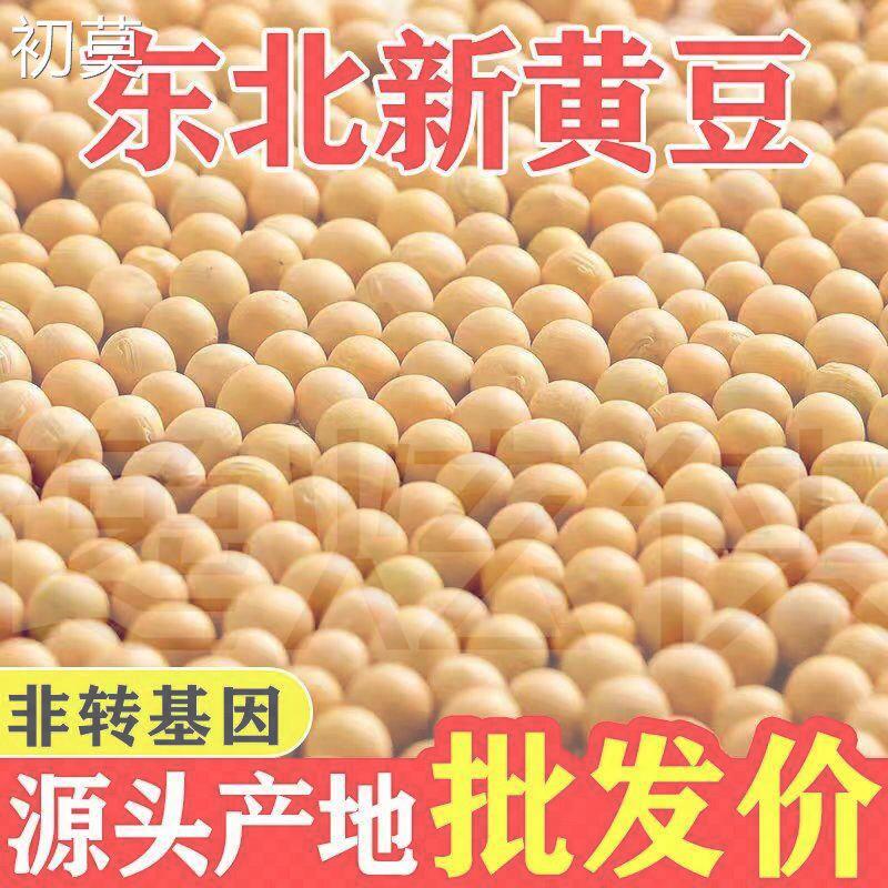 大黄豆新鲜大豆黑龙江大豆东北农家发芽豆浆原料营养
