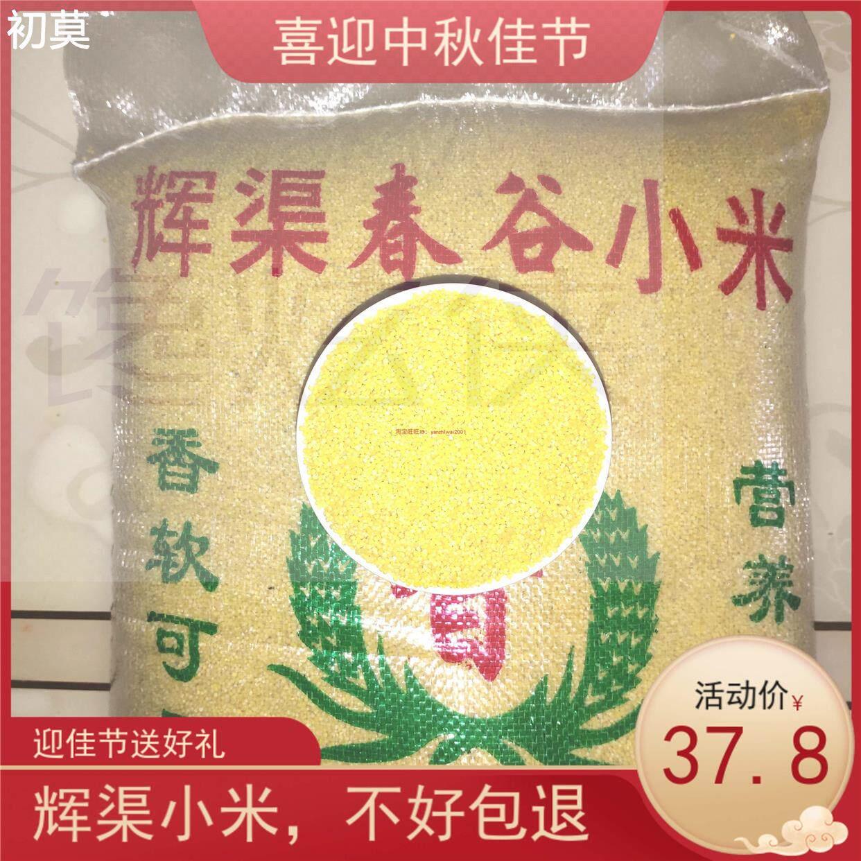 安丘辉渠小米春谷新农家黄小米月子米产妇米粥山东粘糯香小米5斤