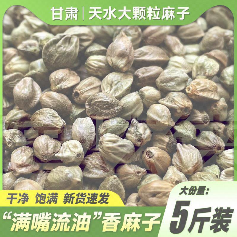 甘肃特产天水麻子500g火麻包邮香麻子大粒新货人吃食用大颗粒麻籽