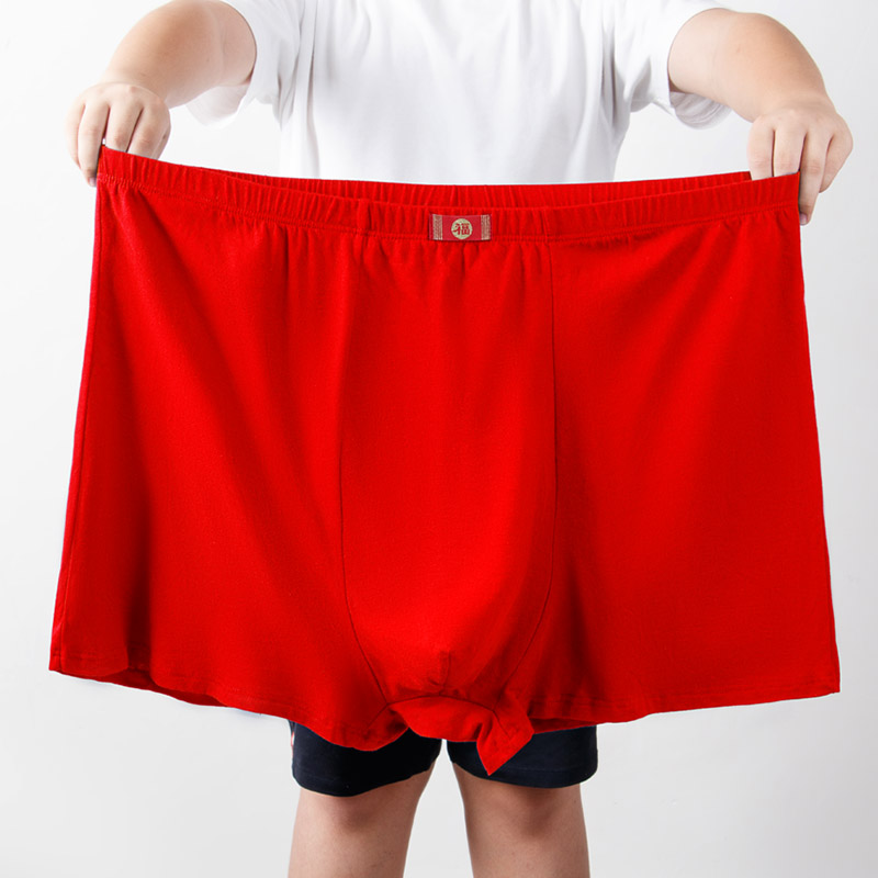 单条全棉高腰中老年人宽松内裤