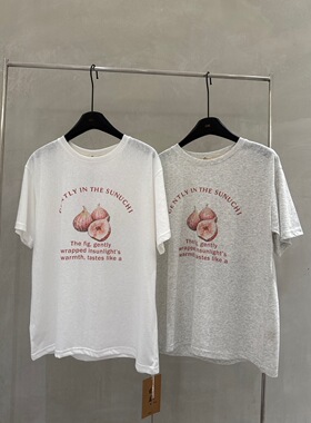 2026秋季新款韩版时尚百搭圆领短袖T恤女宽松显瘦休闲上衣潮1620