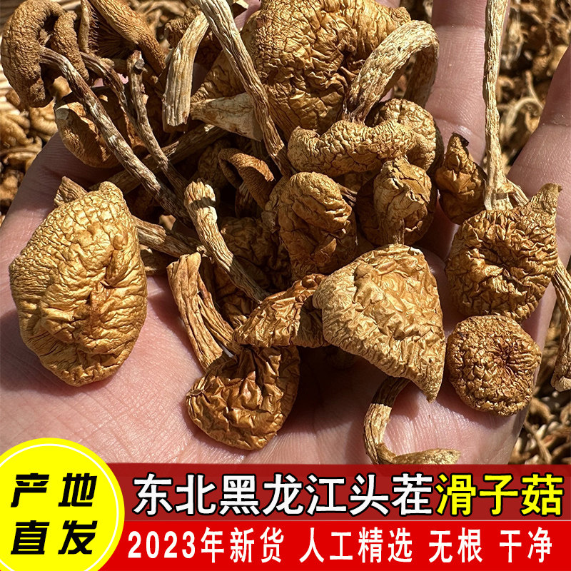 滑子菇干货东北蘑菇特产黑龙江非野生菌菇无根特小鸡炖蘑菇级500g怎么看?