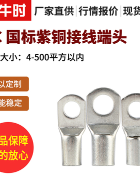 SC窥口铜鼻子冷压接线端子头国标紫铜加厚电线耳SC10-6/8/10平方