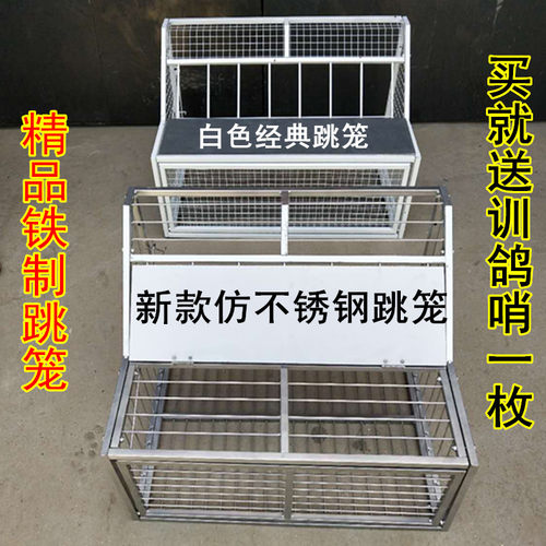 鸽子跳笼 信鸽赛鸽用品用具 鸽棚鸽舍进口 只进不出跳笼 放飞
