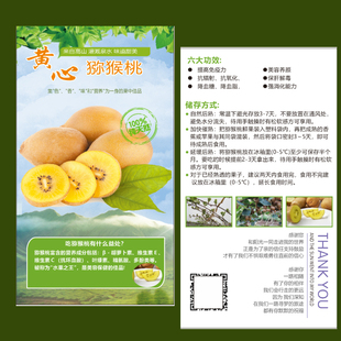 定制黄心猕猴桃卡片食用说明书存放水果催熟宣传卡