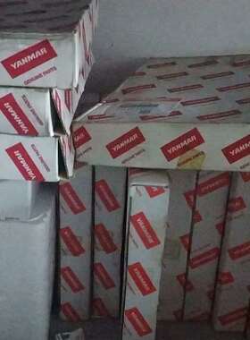 YANMARM200活塞环741654-225033套