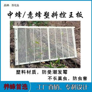 中蜂意蜂蜂王防逃隔王栅蜂箱控王塑料隔王片立式平面隔王板5片装