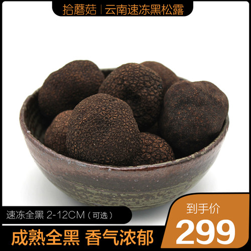 拾蘑菇速冻松露法国美食猪拱菌