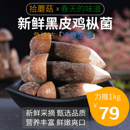 拾蘑菇云南新鲜荔枝黑皮鸡枞菌