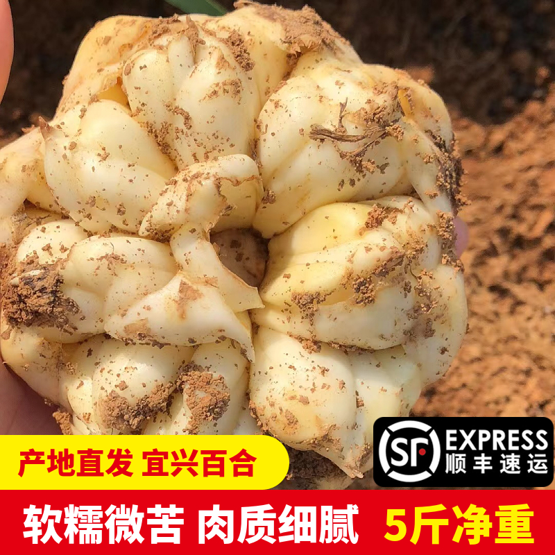 顺丰包邮宜兴新鲜食用大小百合