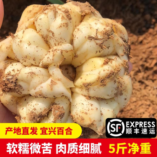 顺丰包邮宜兴新鲜食用大小百合