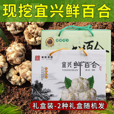 宜兴新鲜大百合礼盒装