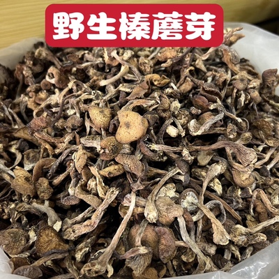 东北野生榛蘑芽干小鸡炖蘑菇长白山干货无根榛蘑芽小草蘑芽500g
