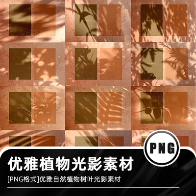 优雅高级自然植物真实光影阴影光斑效果PNG背景图PSD后期叠加素材