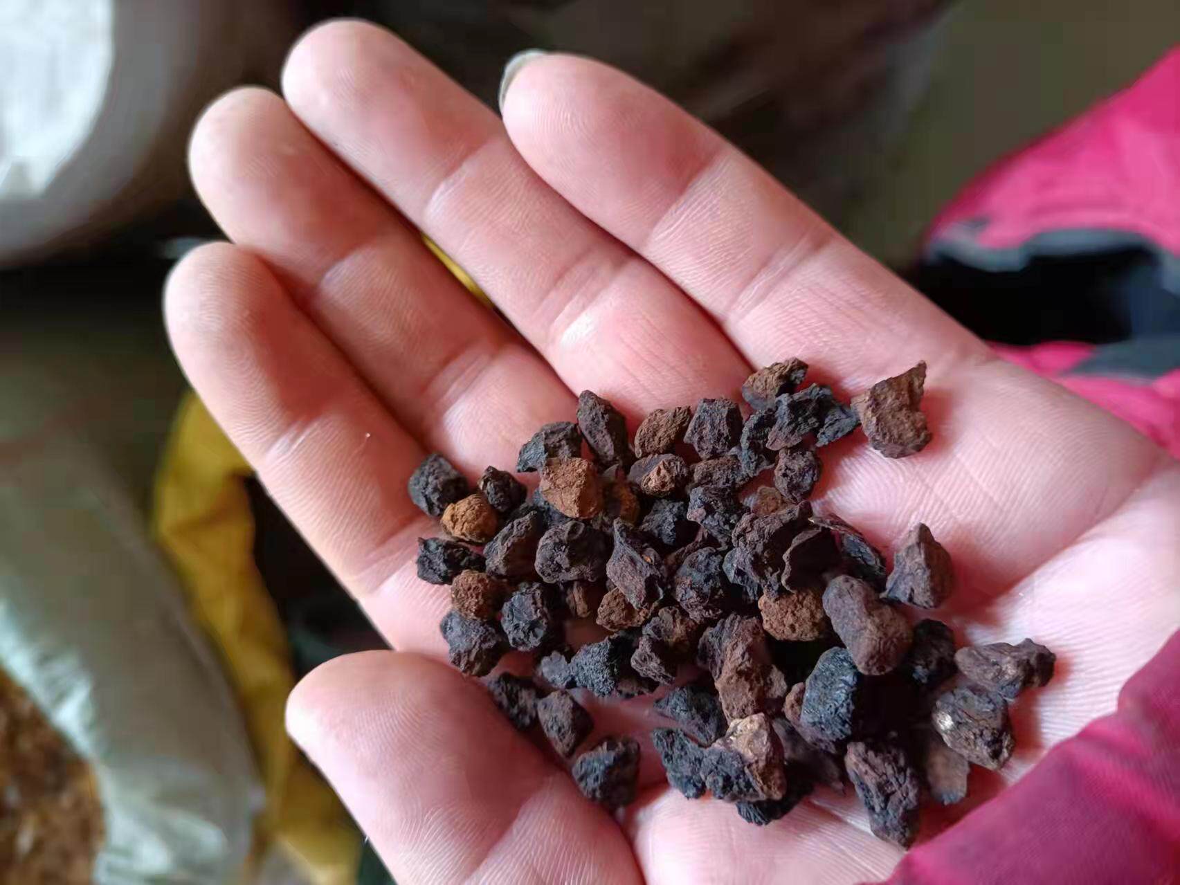 桦树茸黑晶颗粒  黑金颗粒 白桦茸 桦树泪 净重250克