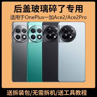适用于OnePlus一加ACE2后