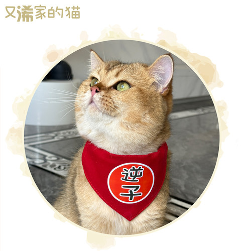 胖猫定制猫咪狗狗口水巾三角巾围脖狗围巾大型犬金毛布偶宠物饰品