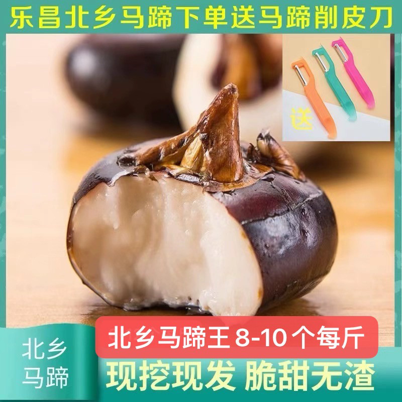 广东马蹄北乡特产新鲜水果