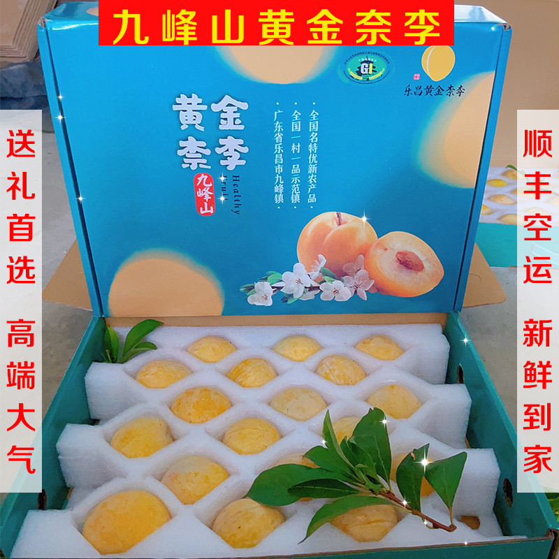 正宗广东粤北乐昌九峰山新鲜水果黄金奈李送礼现摘顺丰包邮5斤装