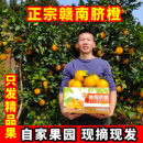 正宗赣南脐橙江西赣州安远新鲜孕妇水果橙子大果产地直发10斤20斤