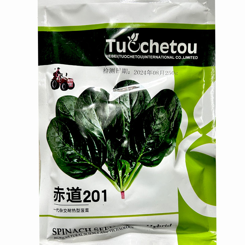 赤道201耐热菠菜种子丹曼进口叶肉厚耐抽苔火焰山基地品种