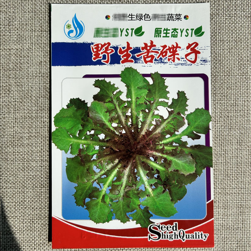 苦碟菜种子野菜苦碟子又名抱茎苦荬菜尖裂草本植物野菜种籽蔬菜籽,农用物资,蔬菜种子/种苗,淘宝优惠券,粉丝福利购,淘宝优惠卷