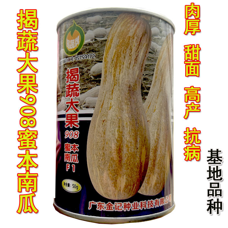 广东金记揭蔬大果908蜜本南瓜籽