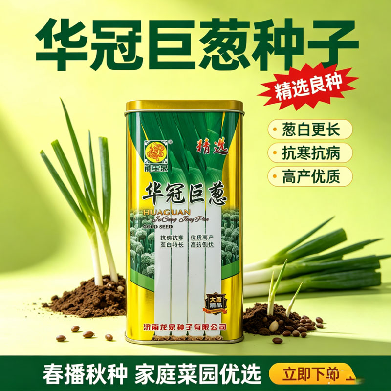 华冠巨葱种子耐寒铁杆200g大葱种籽抗倒伏大梧桐大葱种子蔬菜种子