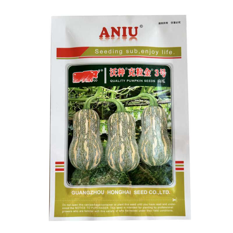 花生奶油小南瓜种子花生蜜本南瓜