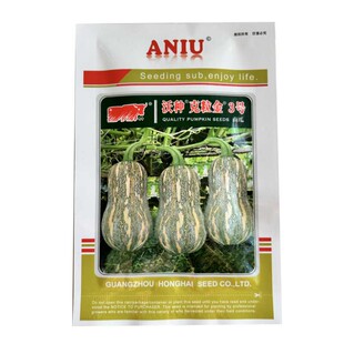 花生奶油小南瓜种子金香蜜花生蜜本南瓜种籽嫩瓜老瓜可食甜味浓