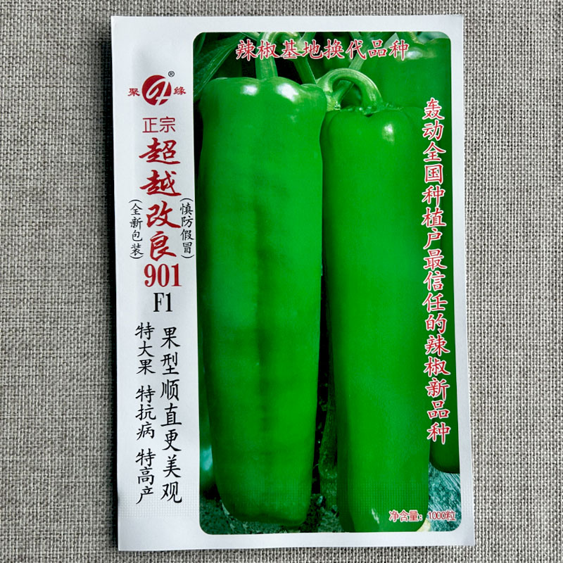 大牛角椒种子901早熟果型