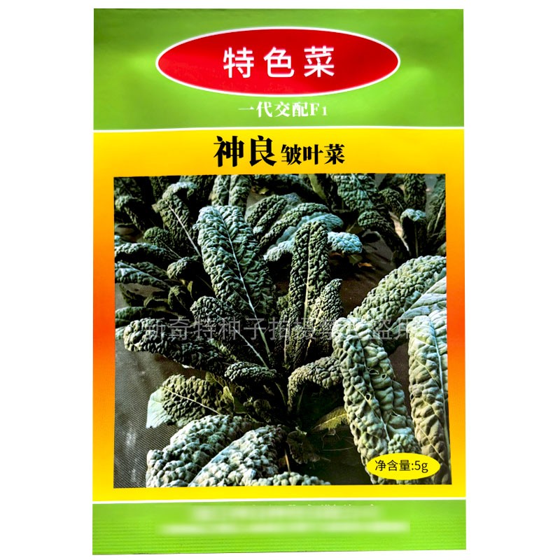 神良皱叶菜种子叶用羽衣甘蓝5g黑甘蓝皱叶甘蓝种籽褶皱菜蔬菜种子