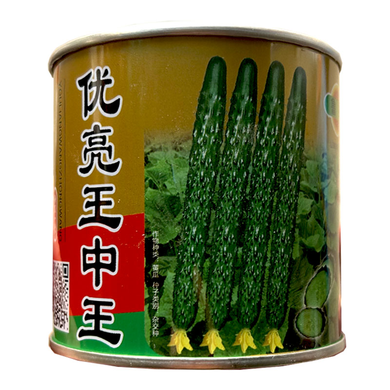 黄瓜种子青皮绿瓤油亮王黄瓜种子一叶一瓜绿瓢把短农家易种春秋播