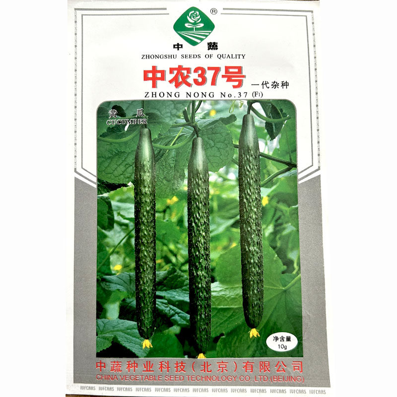 中农37号黄瓜种子春秋栽培早熟青瓜籽瓜把长高产抗霜霉白粉病毒