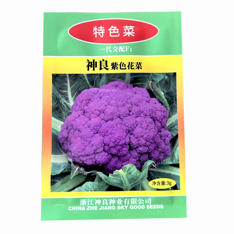 紫色花椰菜种子西兰花松花菜宝塔