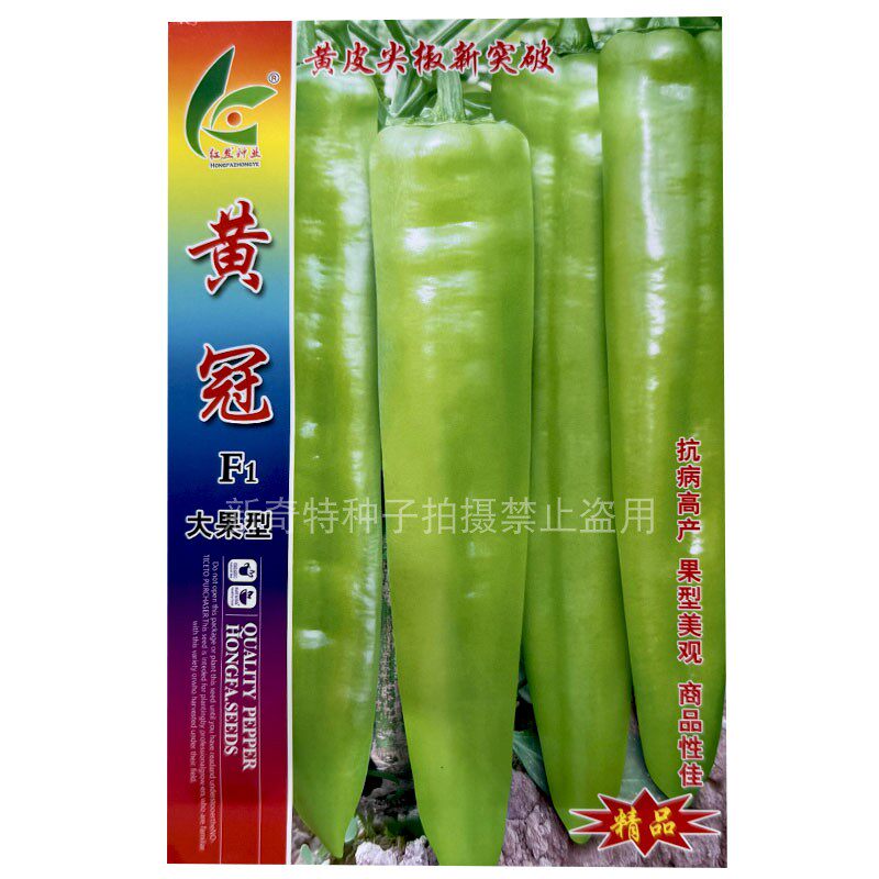 黄冠F1大果型黄皮尖椒种子1000粒早熟牛角型果型美观耐热耐湿高产