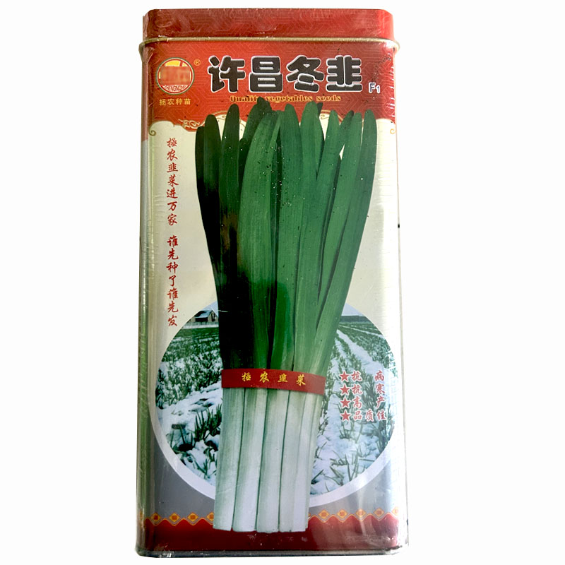 韭菜种子四季韭菜苔种籽