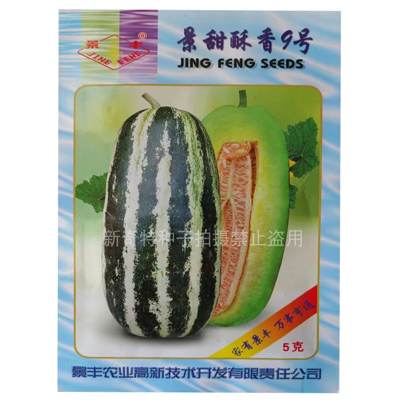 景甜酥香9号甜瓜种子薄皮香瓜5g博系号种籽羊角蜜口感脆酥瓜孑