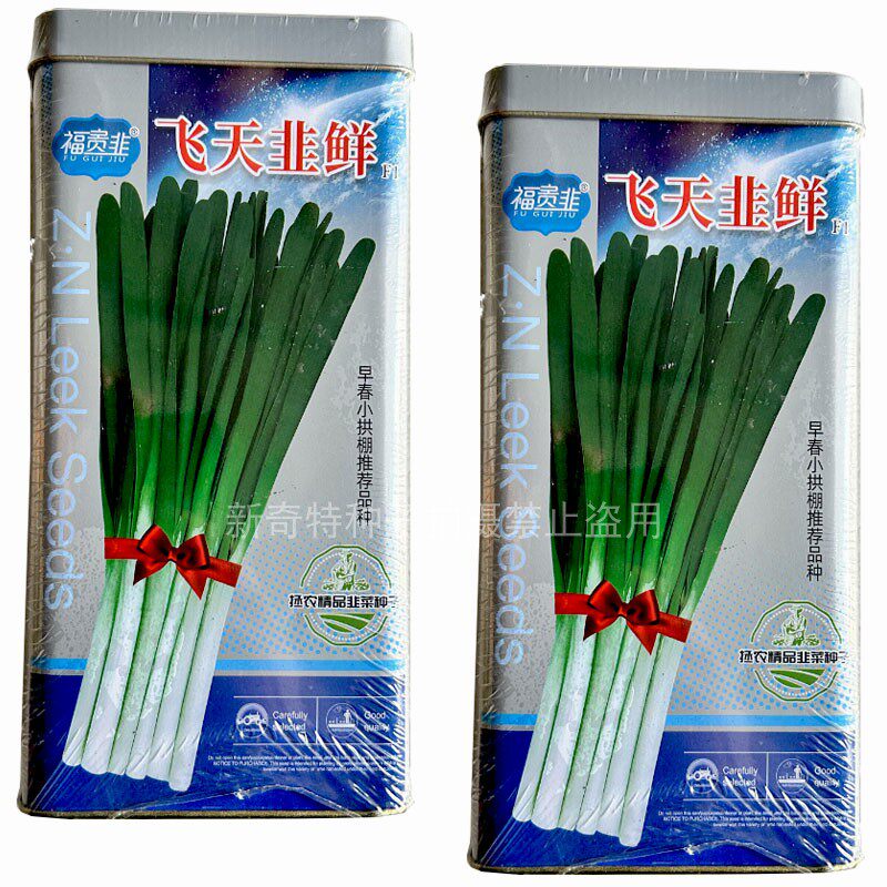 休眠韭菜种子飞天韭鲜韭菜种籽叶片宽大厚叶深绿露地小拱棚保护地