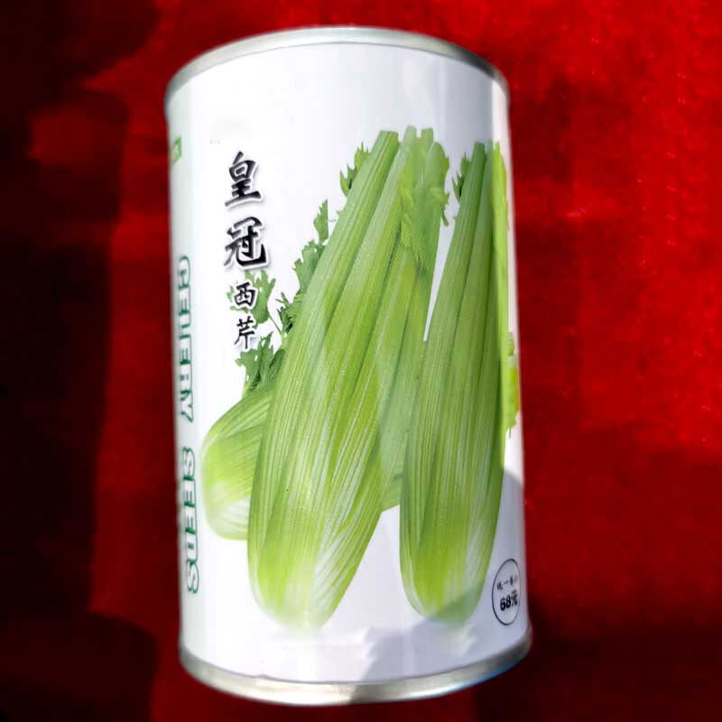 皇冠西芹种子实心芹菜耐热耐寒纤维少抽苔晚早熟四季基地品种