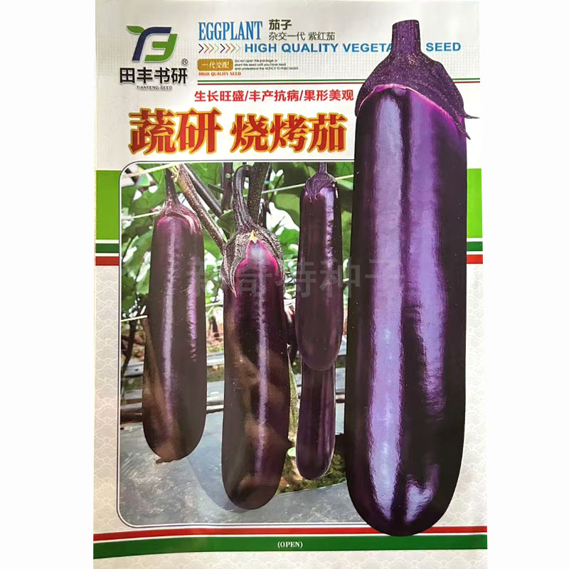 蔬研烧烤茄种子 顺直丰产抗病中晚熟品种长棒型口感甜糯茄子种籽