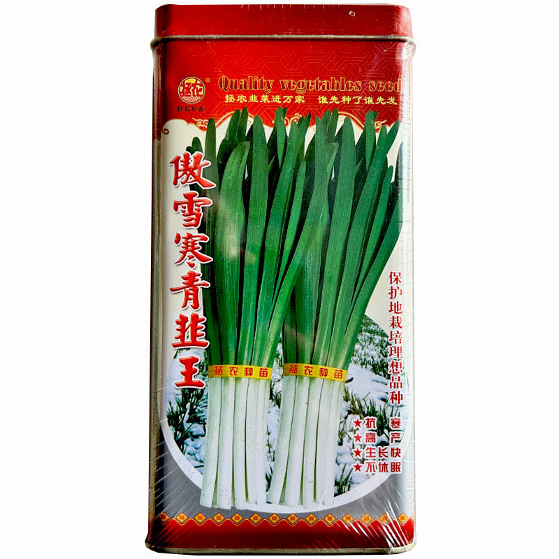 韭菜种子傲雪寒青韭王不休眠宽叶韭菜高产抗寒长茎白根拯农韭菜