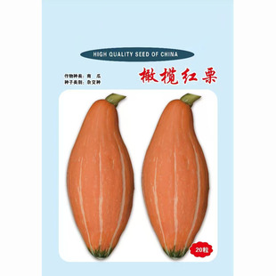 南瓜种子高产四季春播橄榄红栗早栗蜜本蟹黄大果型黄肉南瓜种籽孑