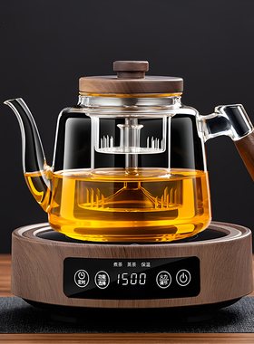 电陶炉煮茶小茶炉2025新款家用煮茶器电热炉烧水壶养生泡茶电磁炉