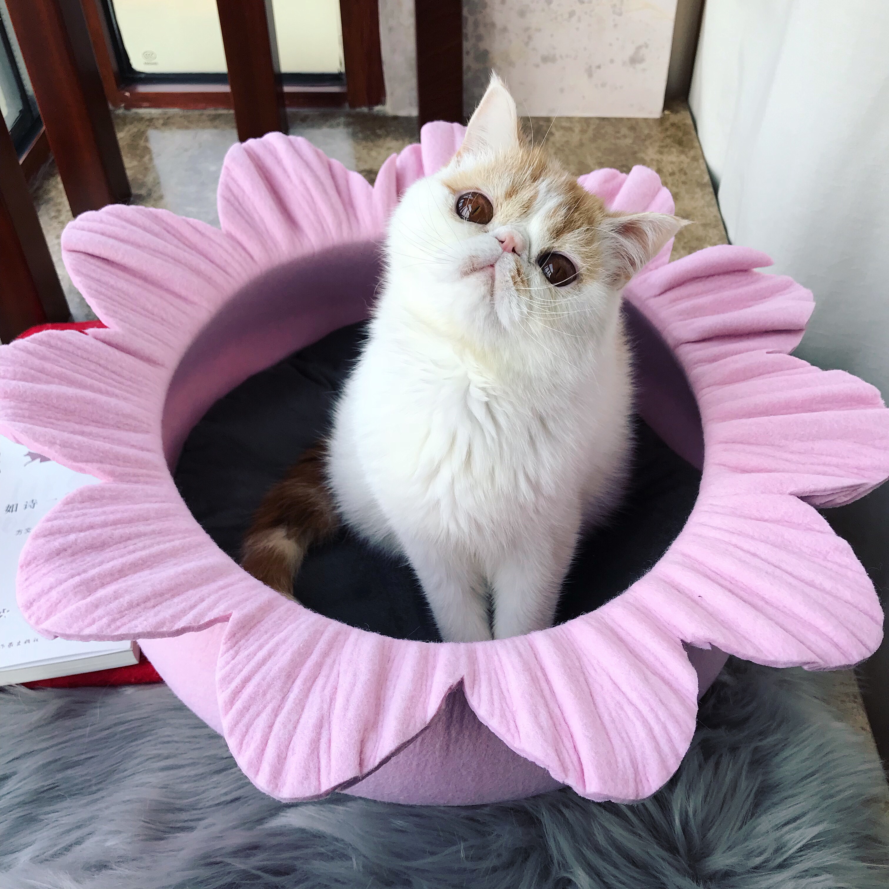 猫窝四季通用可爱毛毡窝ins公主菊花可拆洗房子猫咪窝夏天别墅