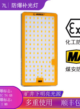 补光灯DH3.7L拜特尔防爆补光灯