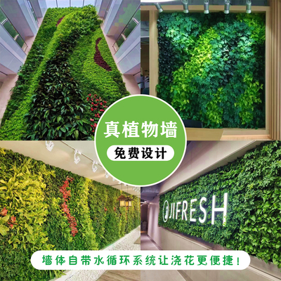 植物墙绿植墙花卉盆栽加湿净化