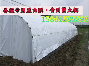 按米黑白膜无滴大棚降温反光膜遮阳加厚食用菌养殖隔热绿白膜进口